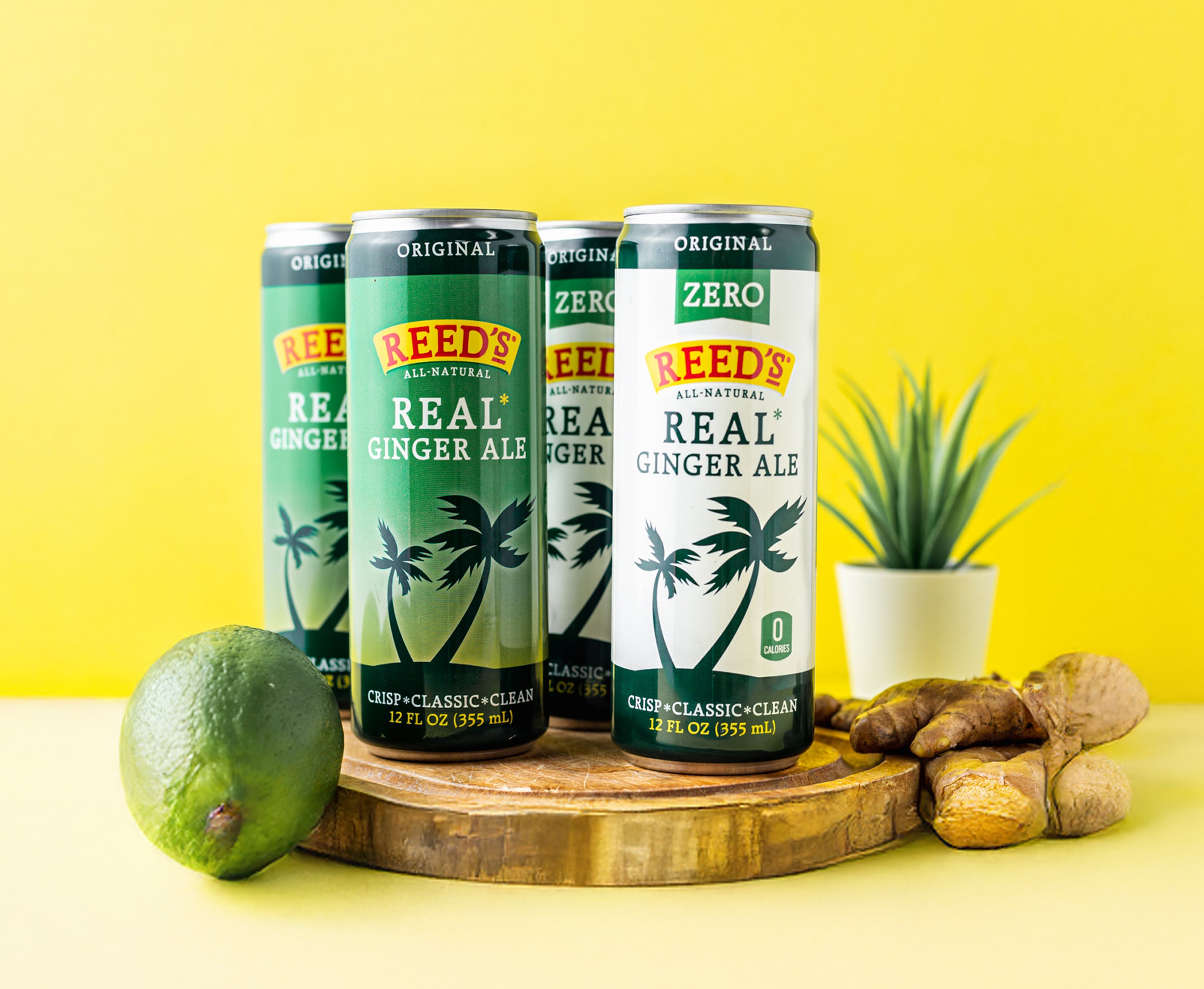 Two slim cans of Reed's Real Ginger Ale and Reed's Zero Sugar Ginger Ale on a wood plate, surrounded by a lime and ginger with a succulent plant in the background.